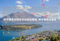 和平精英挂购买平台网站便宜_和平精英挂便宜