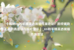 【揭秘IOS和平精英透视插件源地址：游戏辅助工具的真面目与风险警示】_IOS和平精英透视插件源地址