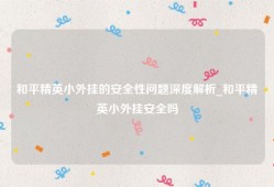 和平精英小外挂的安全性问题深度解析_和平精英小外挂安全吗