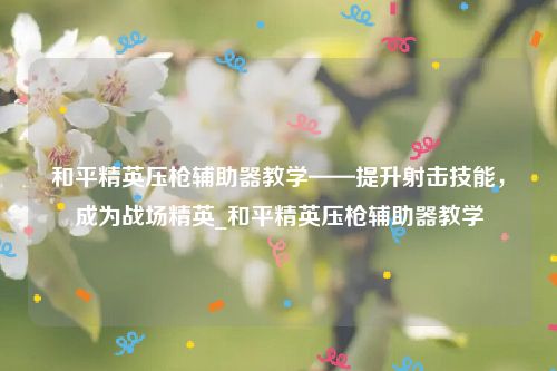 和平精英压枪辅助器教学——提升射击技能，成为战场精英_和平精英压枪辅助器教学